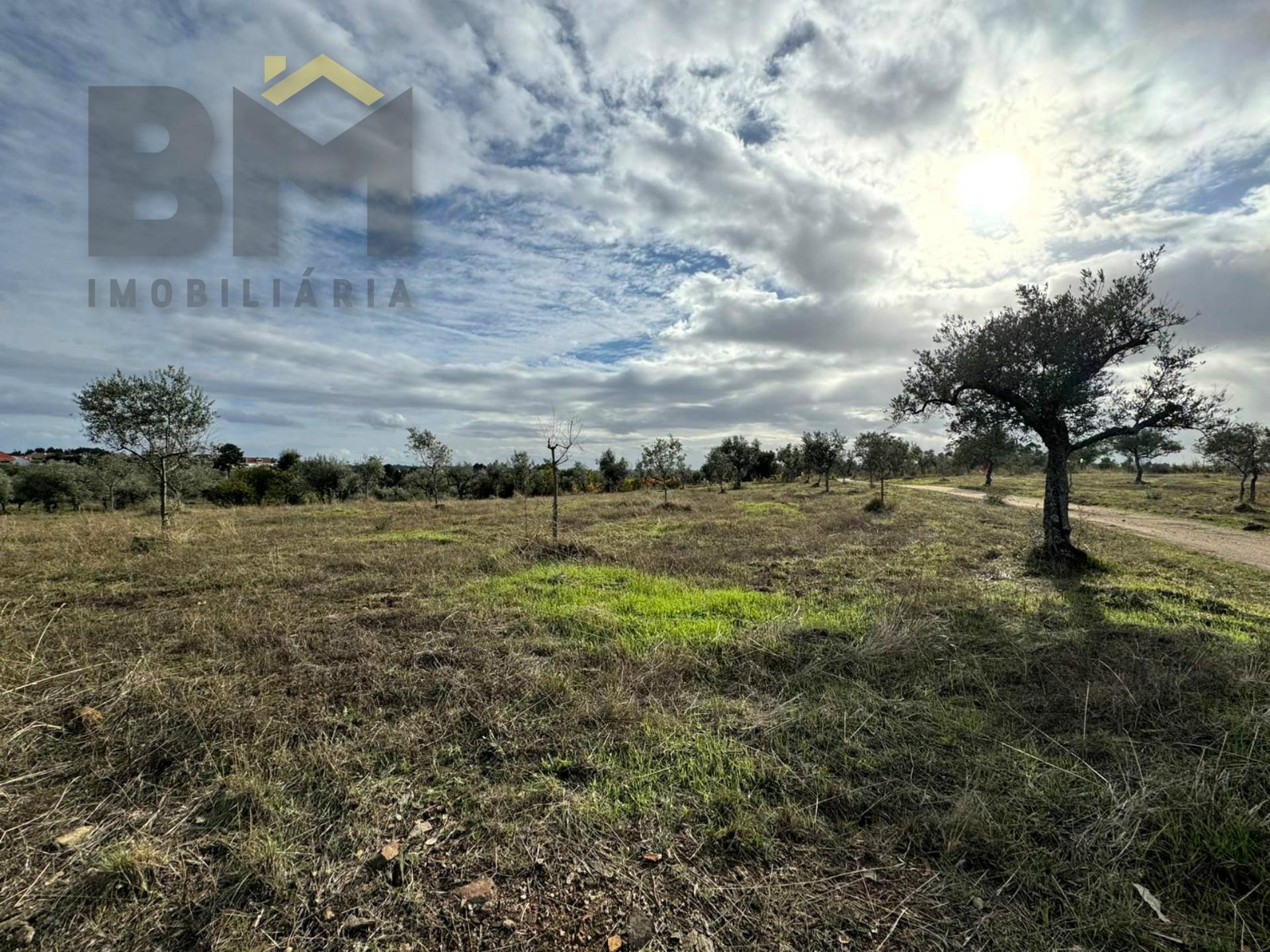 Terreno Rústico  Venda em Ninho do Açor e Sobral do Campo,Castelo Branco