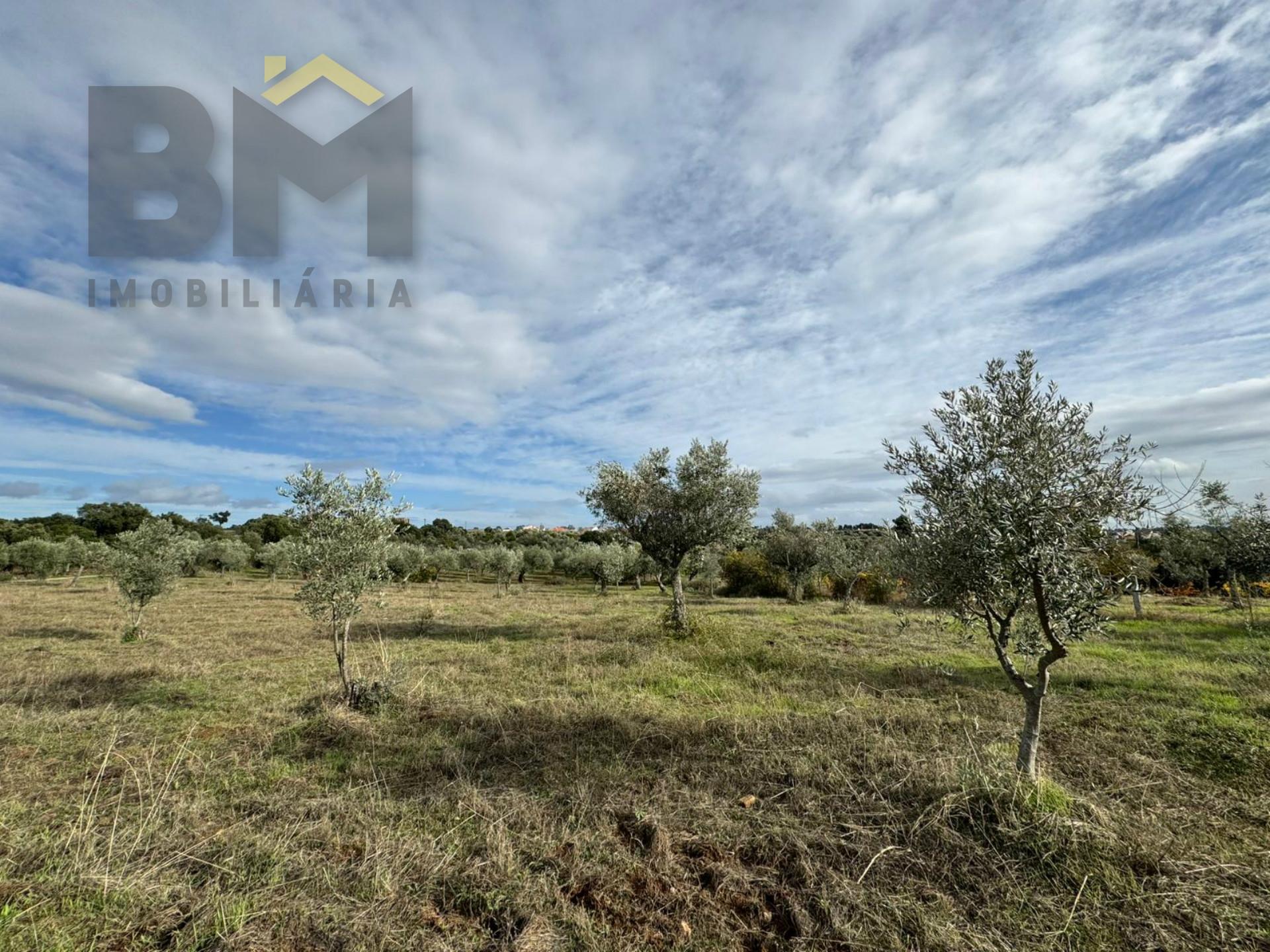 Terreno Rústico  Venda em Ninho do Açor e Sobral do Campo,Castelo Branco