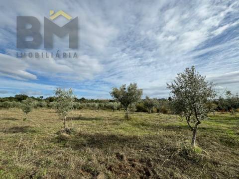 Terreno Rústico  Venda em Ninho do Açor e Sobral do Campo,Castelo Branco
