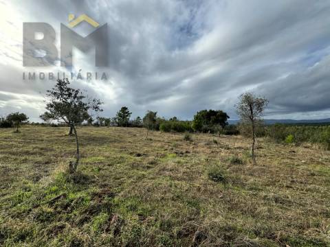 Terreno Rústico  Venda em Ninho do Açor e Sobral do Campo,Castelo Branco