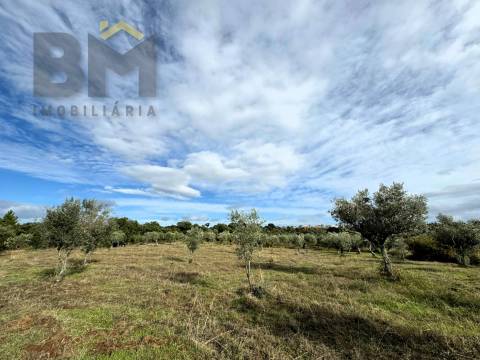 Terreno Rústico  Venda em Ninho do Açor e Sobral do Campo,Castelo Branco