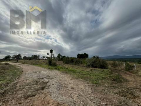 Terreno Rústico  Venda em Ninho do Açor e Sobral do Campo,Castelo Branco