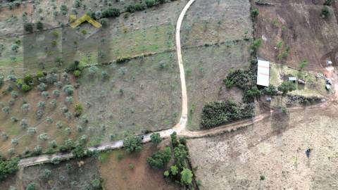 Terreno Rústico  Venda em Ninho do Açor e Sobral do Campo,Castelo Branco