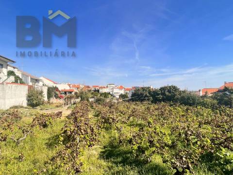 Terreno Para Construção  Venda em Castelo Branco,Castelo Branco