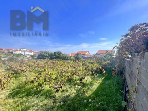 Terreno Para Construção  Venda em Castelo Branco,Castelo Branco