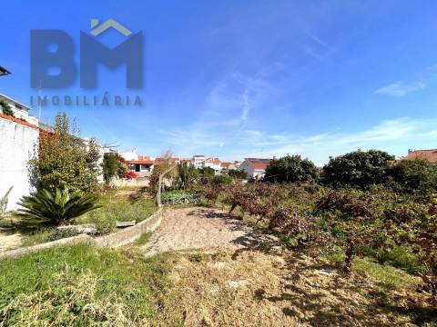 Terreno Para Construção  Venda em Castelo Branco,Castelo Branco