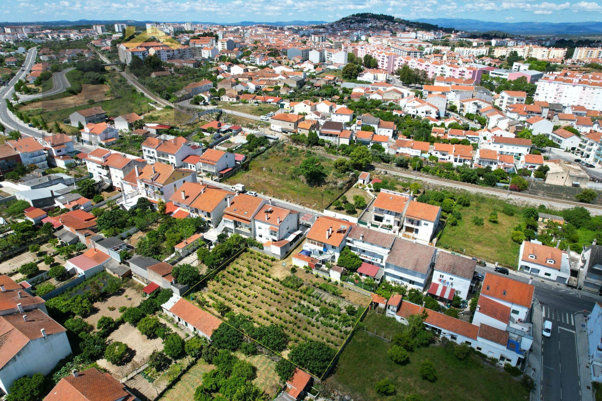 Terreno Para Construção  Venda em Castelo Branco,Castelo Branco