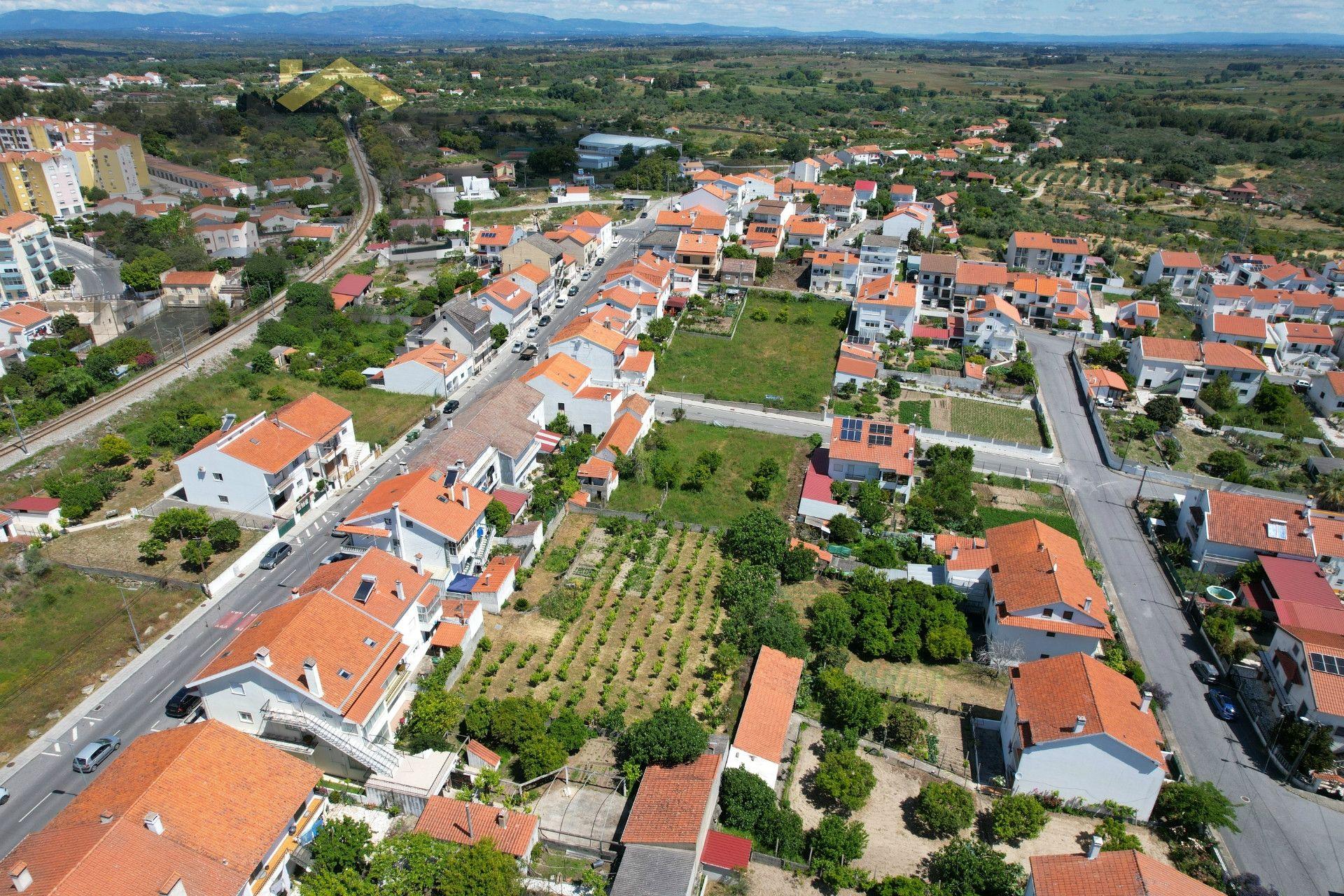 Terreno Para Construção  Venda em Castelo Branco,Castelo Branco