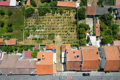 Terreno Para Construção  Venda em Castelo Branco,Castelo Branco