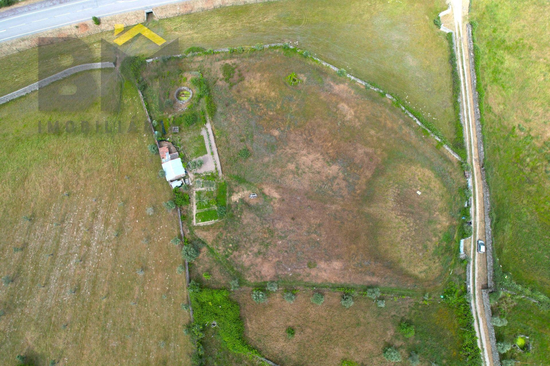 Quinta  Venda em Alcains,Castelo Branco