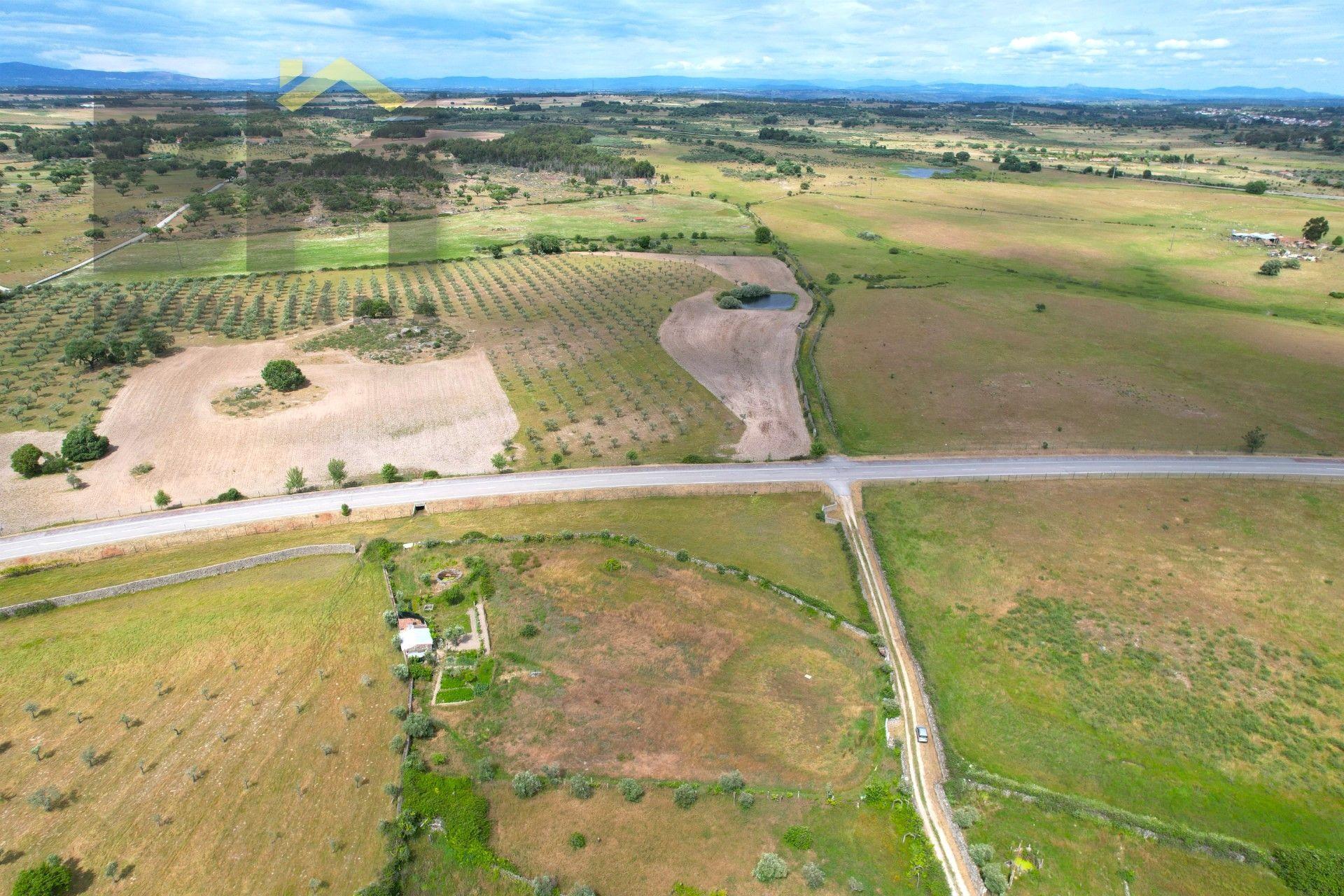 Quinta  Venda em Alcains,Castelo Branco