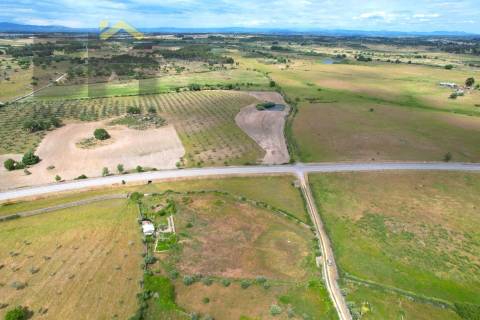 Quinta  Venda em Alcains,Castelo Branco