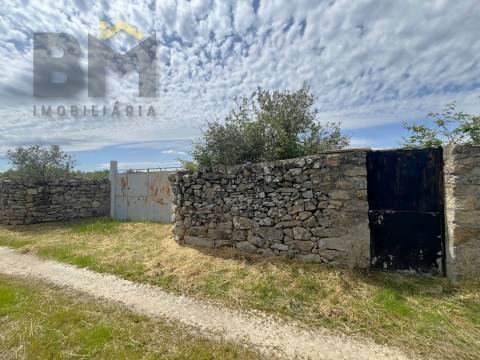 Quinta  Venda em Alcains,Castelo Branco