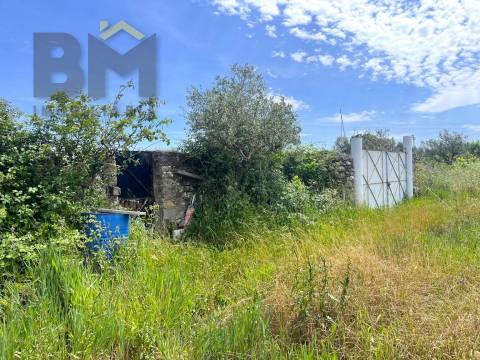 Quinta  Venda em Alcains,Castelo Branco