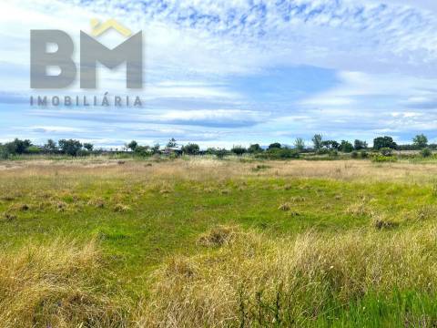 Quinta  Venda em Alcains,Castelo Branco