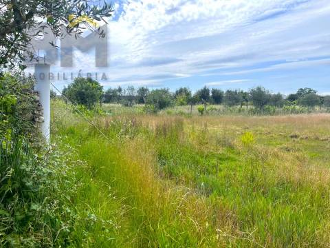 Quinta  Venda em Alcains,Castelo Branco