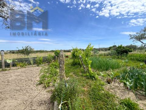 Quinta  Venda em Alcains,Castelo Branco