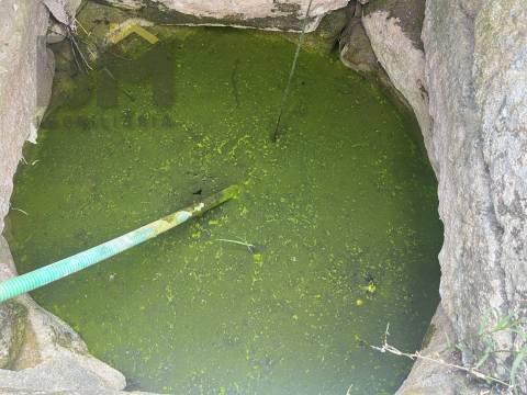 Quinta  Venda em Alcains,Castelo Branco