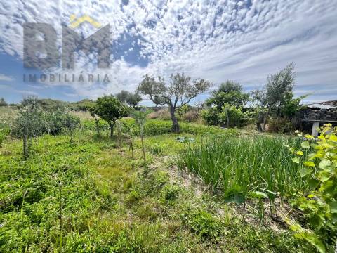Quinta  Venda em Alcains,Castelo Branco