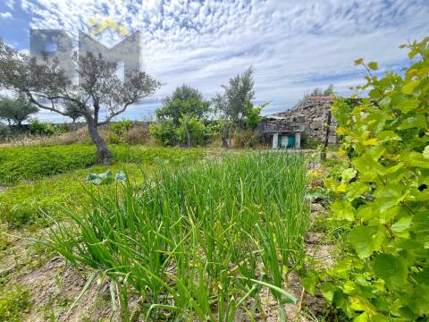 Quinta  Venda em Alcains,Castelo Branco