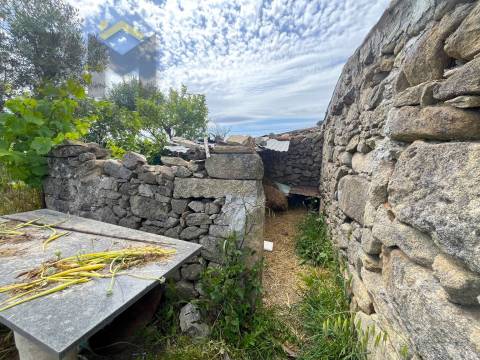 Quinta  Venda em Alcains,Castelo Branco