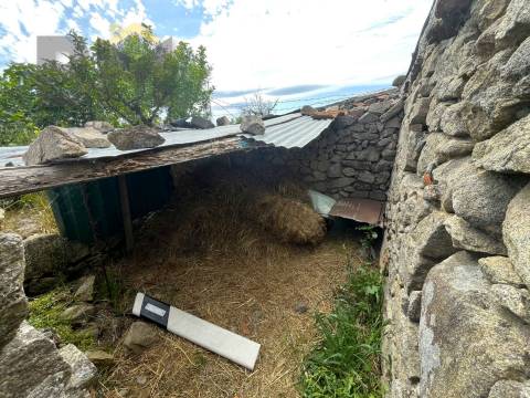 Quinta  Venda em Alcains,Castelo Branco