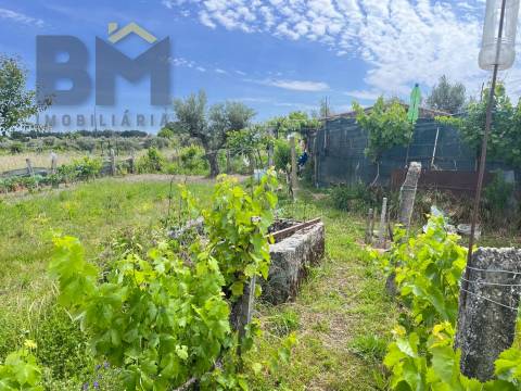Quinta  Venda em Alcains,Castelo Branco