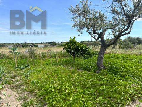 Quinta  Venda em Alcains,Castelo Branco