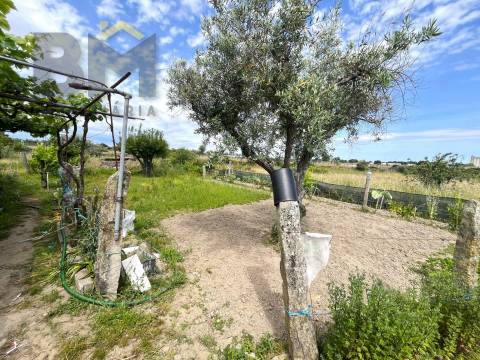 Quinta  Venda em Alcains,Castelo Branco