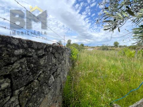 Quinta  Venda em Alcains,Castelo Branco