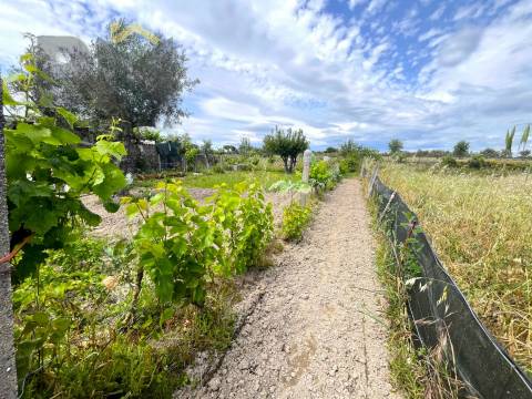 Quinta  Venda em Alcains,Castelo Branco