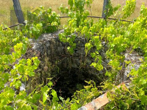Quinta  Venda em Alcains,Castelo Branco