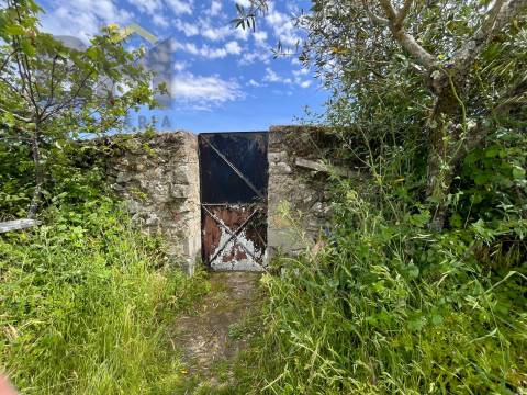 Quinta  Venda em Alcains,Castelo Branco