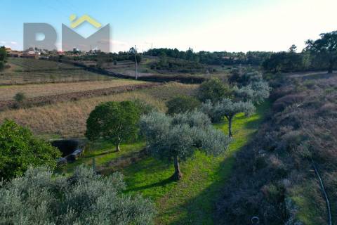 Quintinha  Venda em Cebolais de Cima e Retaxo,Castelo Branco