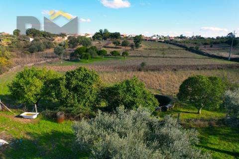 Quintinha  Venda em Cebolais de Cima e Retaxo,Castelo Branco