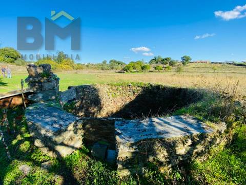 Quintinha  Venda em Cebolais de Cima e Retaxo,Castelo Branco