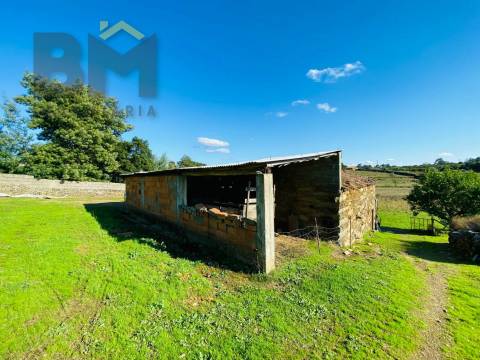 Quintinha  Venda em Cebolais de Cima e Retaxo,Castelo Branco