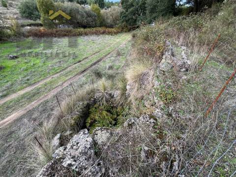 Quinta  Venda em Póvoa de Rio de Moinhos e Cafede,Castelo Branco