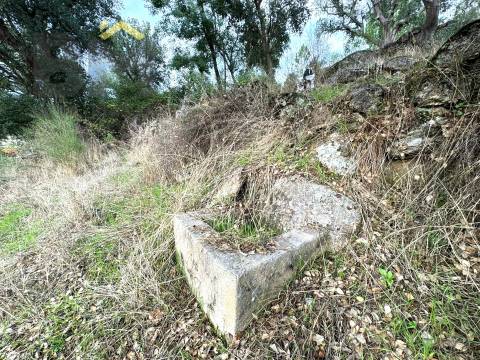 Quinta  Venda em Póvoa de Rio de Moinhos e Cafede,Castelo Branco