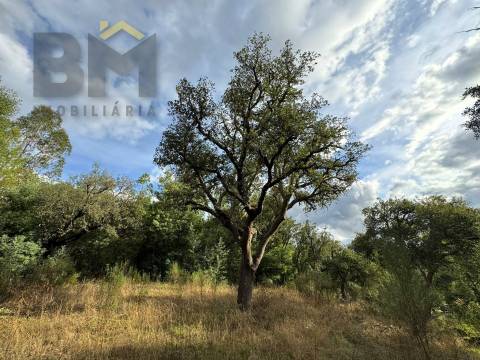 Quinta  Venda em Póvoa de Rio de Moinhos e Cafede,Castelo Branco