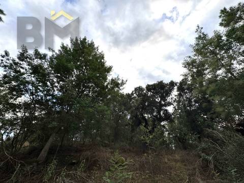 Quinta  Venda em Póvoa de Rio de Moinhos e Cafede,Castelo Branco