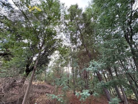 Quinta  Venda em Póvoa de Rio de Moinhos e Cafede,Castelo Branco