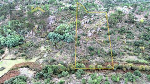 Terreno Rústico  Venda em Póvoa de Rio de Moinhos e Cafede,Castelo Branco