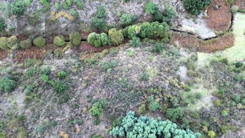 Terreno Rústico  Venda em Póvoa de Rio de Moinhos e Cafede,Castelo Branco