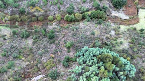 Terreno Rústico  Venda em Póvoa de Rio de Moinhos e Cafede,Castelo Branco