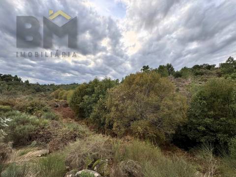 Terreno Rústico  Venda em Póvoa de Rio de Moinhos e Cafede,Castelo Branco