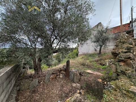 Moradia Devoluta T1 Venda em Salgueiro do Campo,Castelo Branco