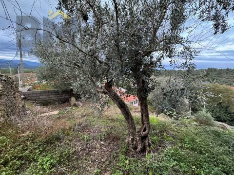 Moradia Devoluta T1 Venda em Salgueiro do Campo,Castelo Branco