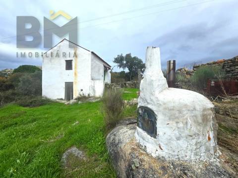 Quinta  Venda em Monsanto e Idanha-a-Velha,Idanha-a-Nova