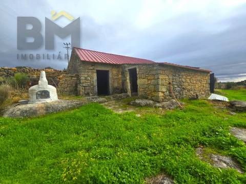 Quinta  Venda em Monsanto e Idanha-a-Velha,Idanha-a-Nova